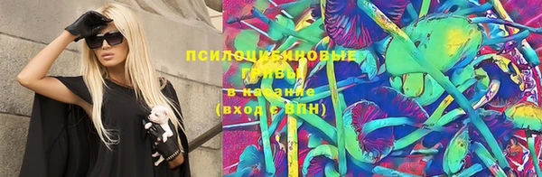 PSILOCYBIN Алексин