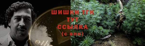 стаф Абдулино