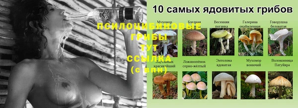 стаф Абдулино
