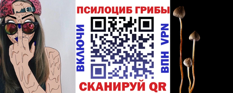 МЕГА вход Химки Галлюциногенные грибы мицелий